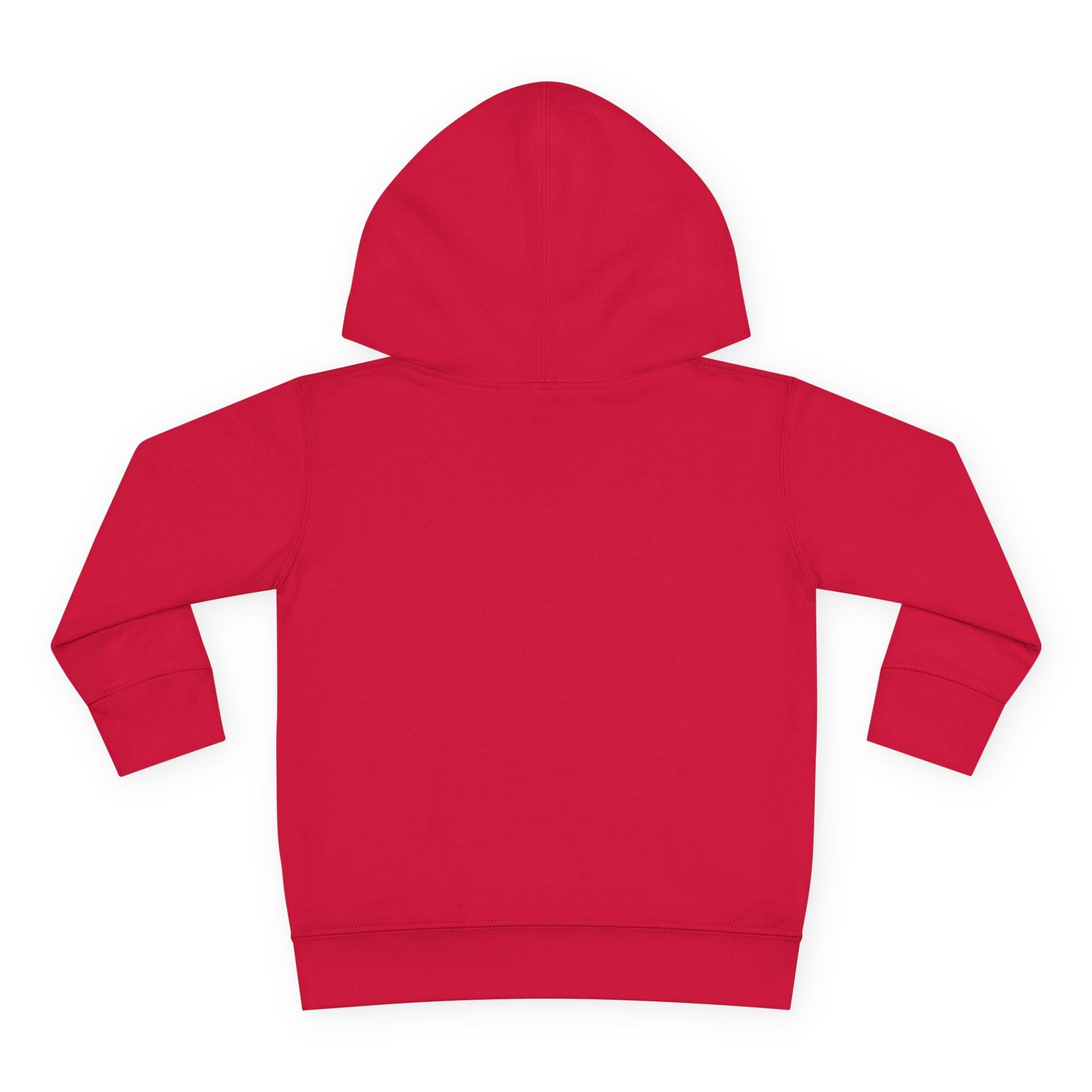Toddler Hoodie — T. Wrecks Dino Train Pullover