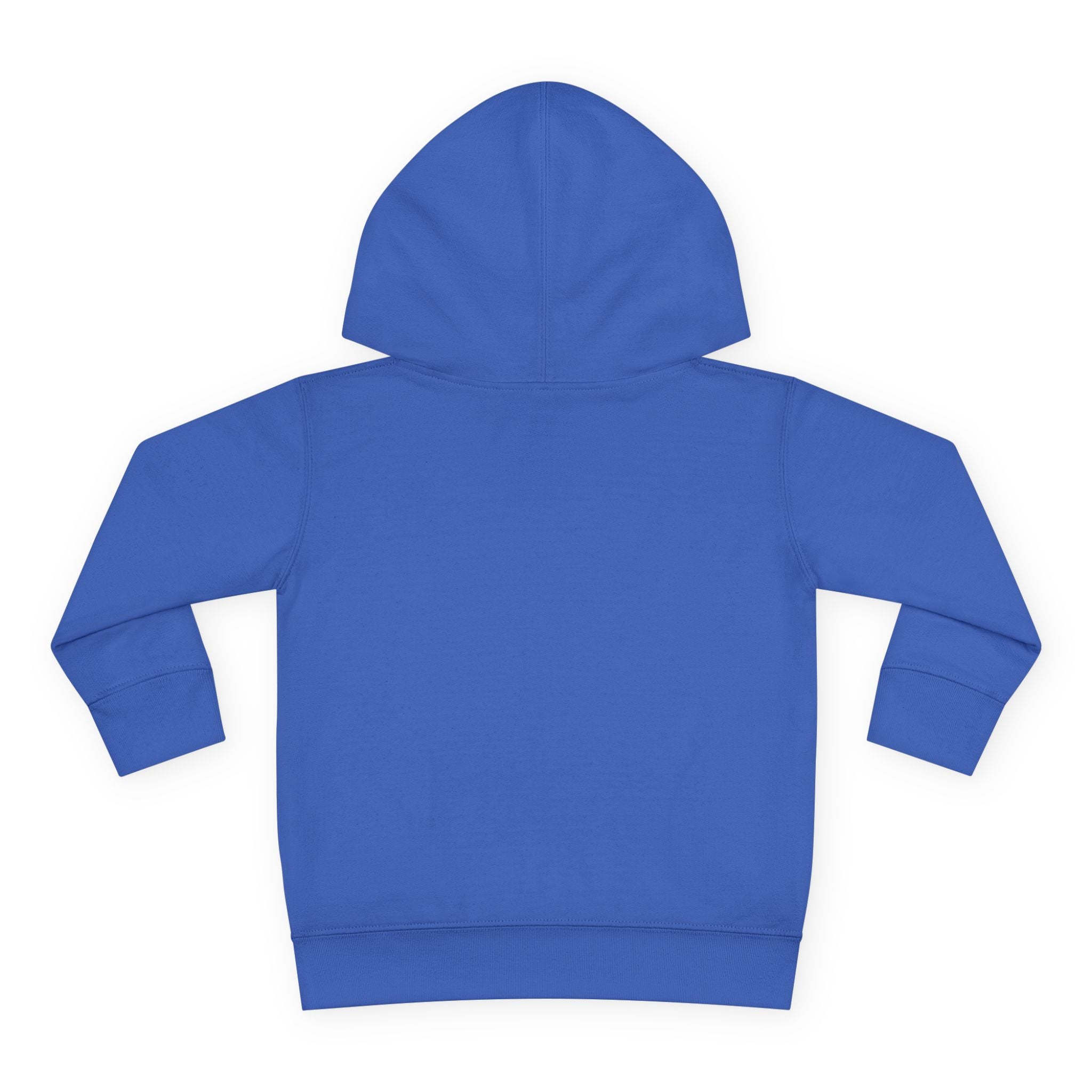 Toddler Hoodie — T. Wrecks Dino Train Pullover