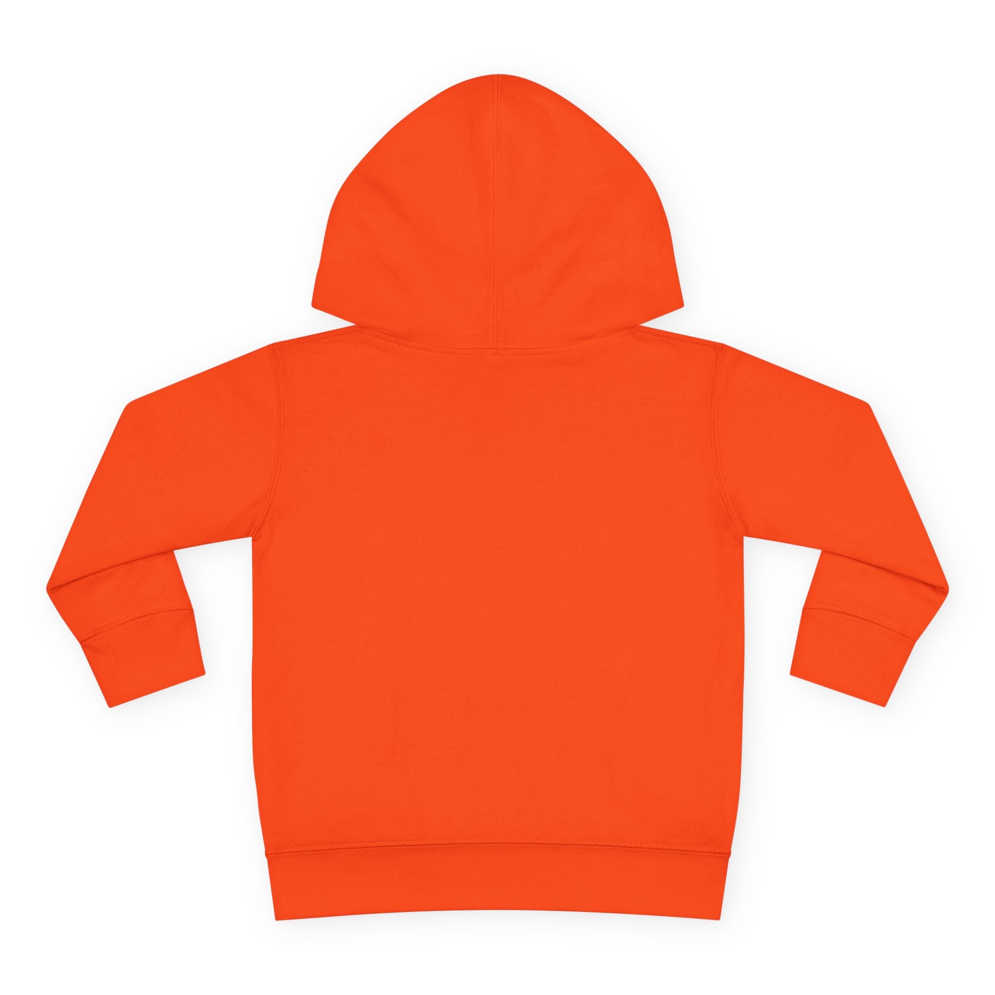 Toddler Hoodie — T. Wrecks Dino Train Pullover