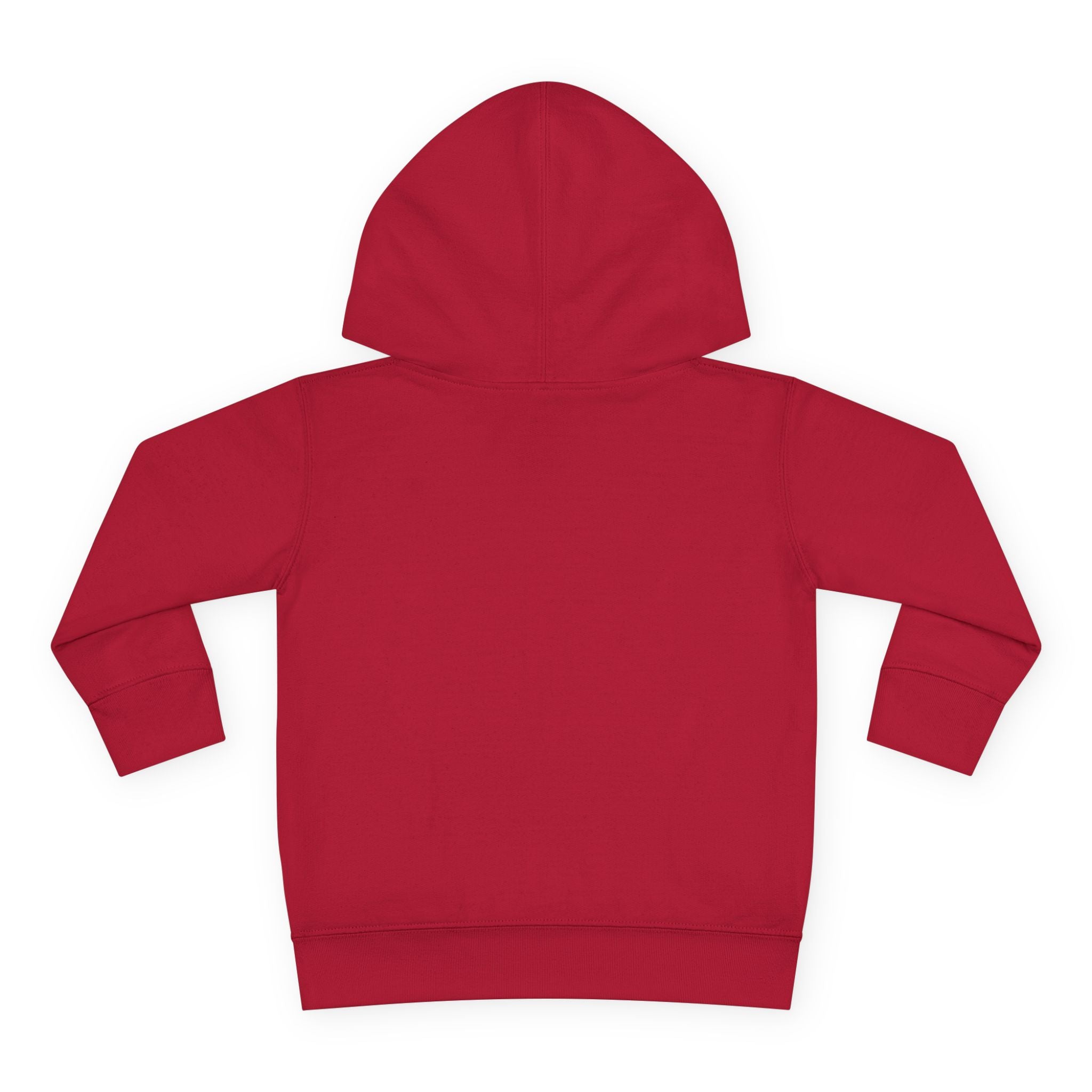 Toddler Hoodie — T. Wrecks Dino Train Pullover